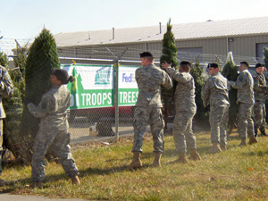 trees_troops
